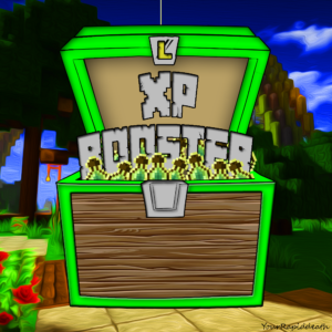 1x XP Booster